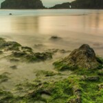 Irish Shoreline Irish Shoreline ALT