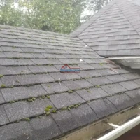 Roof cleaning and moss removal on residential shingles.