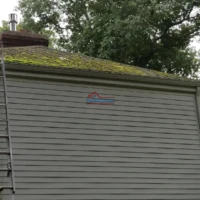 Exterior house painting and renovation services.