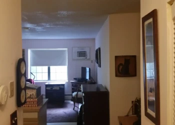 Refinished cabinets in a living room setting with a TV and window view.